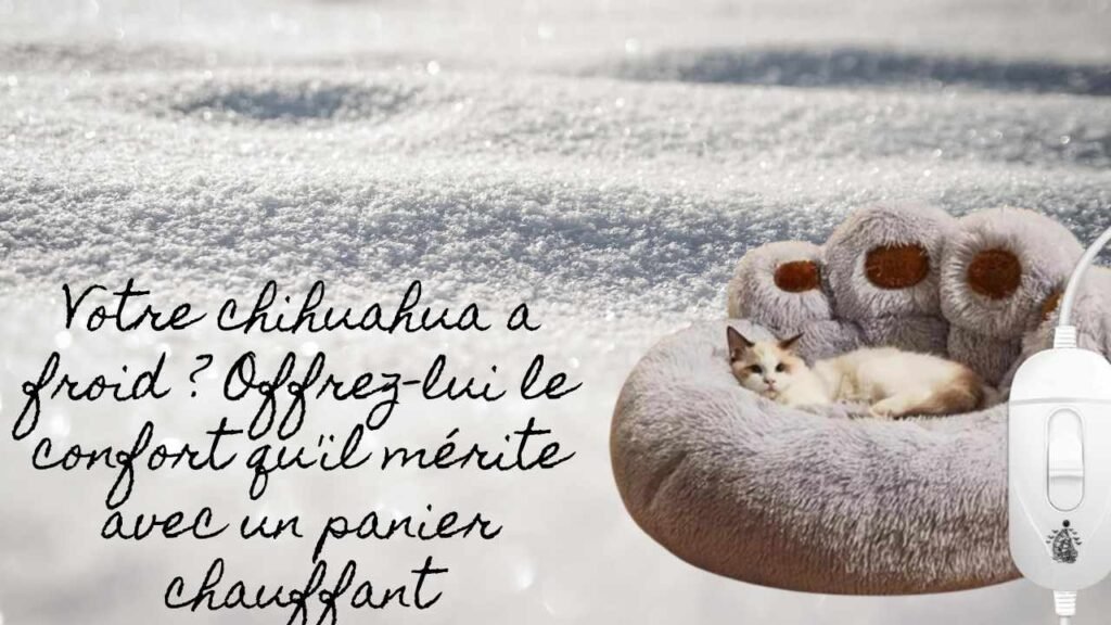 photo d'un panier chauffant avec un texte "votre chihuahua a froid, offrez-lui un panier chauffant"