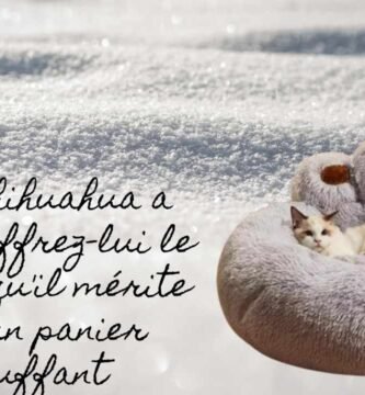 photo d'un panier chauffant avec un texte "votre chihuahua a froid, offrez-lui un panier chauffant"
