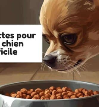 croquettes pour petit chien difficile