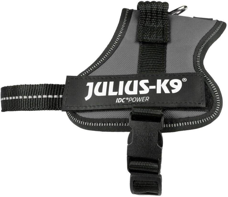 MEILLEUR HARNAIS POUR PETIT CHIEN spécial sécurité