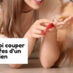 Avec quoi couper les griffes d'un chien