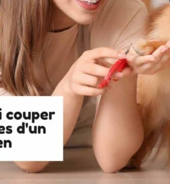Avec quoi couper les griffes d'un chien
