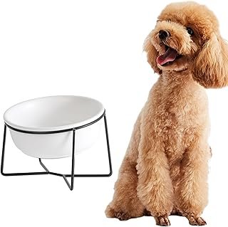 Gamelle Chien Chat - Surelevee et Inclinée avec Support