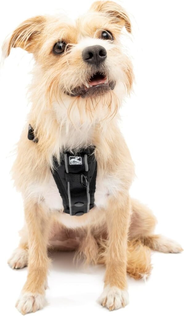 Kurgo Tru Fit Harnais pour Chien
