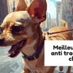 Meilleur harnais anti traction pour chien
