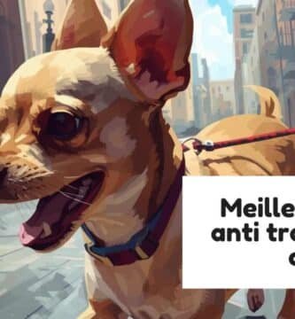 Meilleur harnais anti traction pour chien