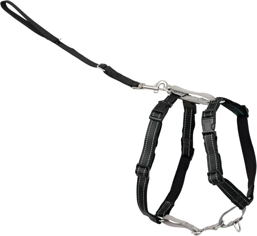 PetSafe 3-in-1 Harness - Comfortable Easy-Walk Dog