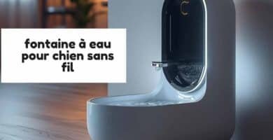 fontaine à eau pour chien sans fil