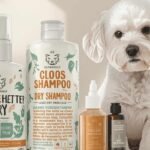 Meilleur shampoing sec pour chien