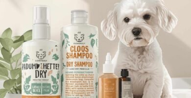 Meilleur shampoing sec pour chien