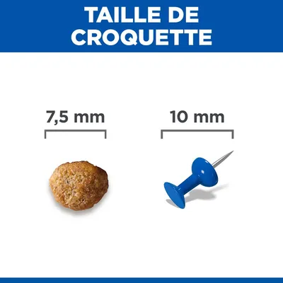 taille croquette