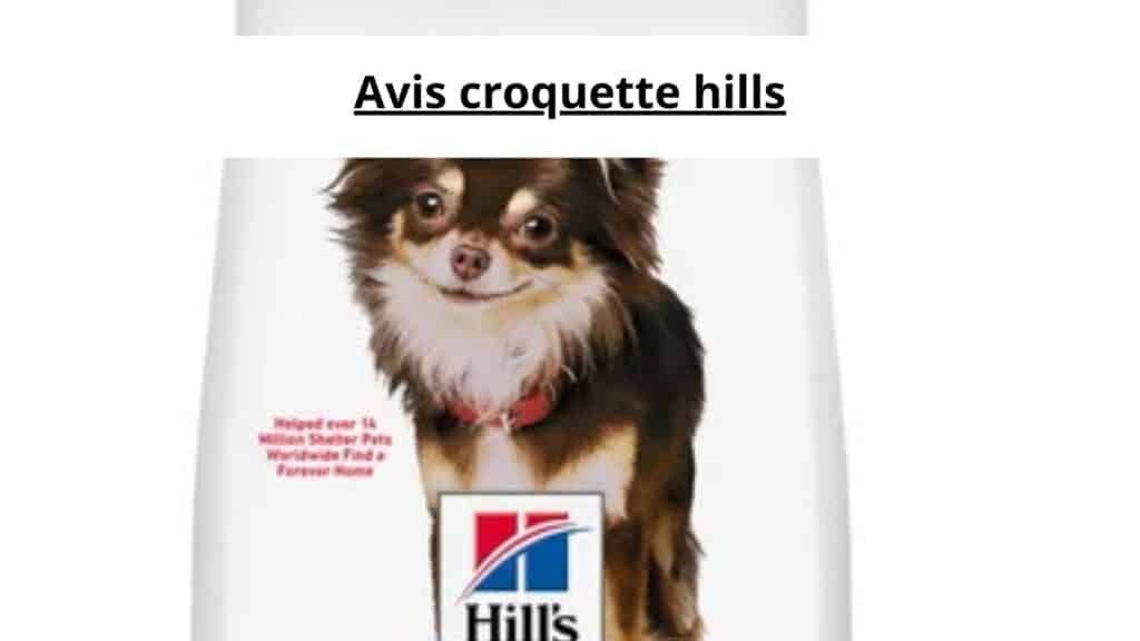 Avis croquette hills