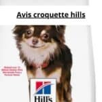 Avis croquette hills