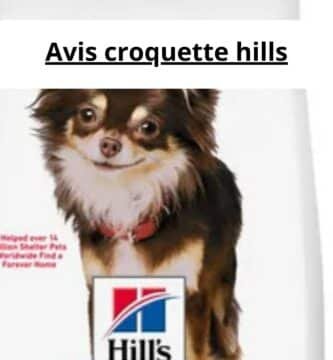 Avis croquette hills