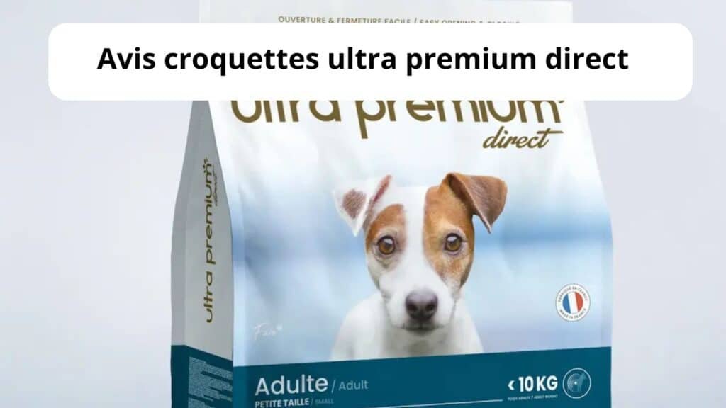 Avis croquettes ultra premium direct