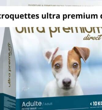 Avis croquettes ultra premium direct