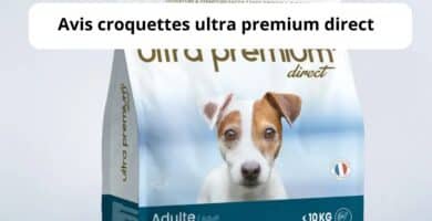 Avis croquettes ultra premium direct