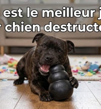 meilleur jouet chien destructeur
