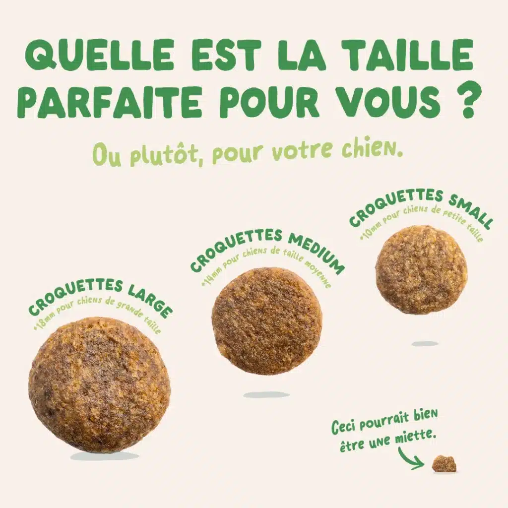 taille croquettes
