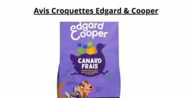 Avis Croquettes Edgard & Cooper