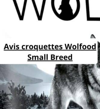 Avis croquettes Wolfood Small Breed