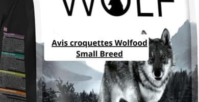 Avis croquettes Wolfood Small Breed