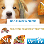 Avis Croquettes Farmina N&D Pumpkin