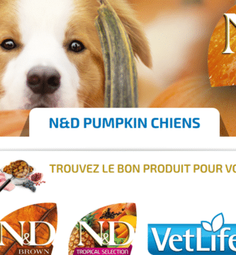 Avis Croquettes Farmina N&D Pumpkin