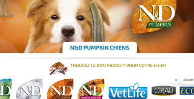 Avis Croquettes Farmina N&D Pumpkin