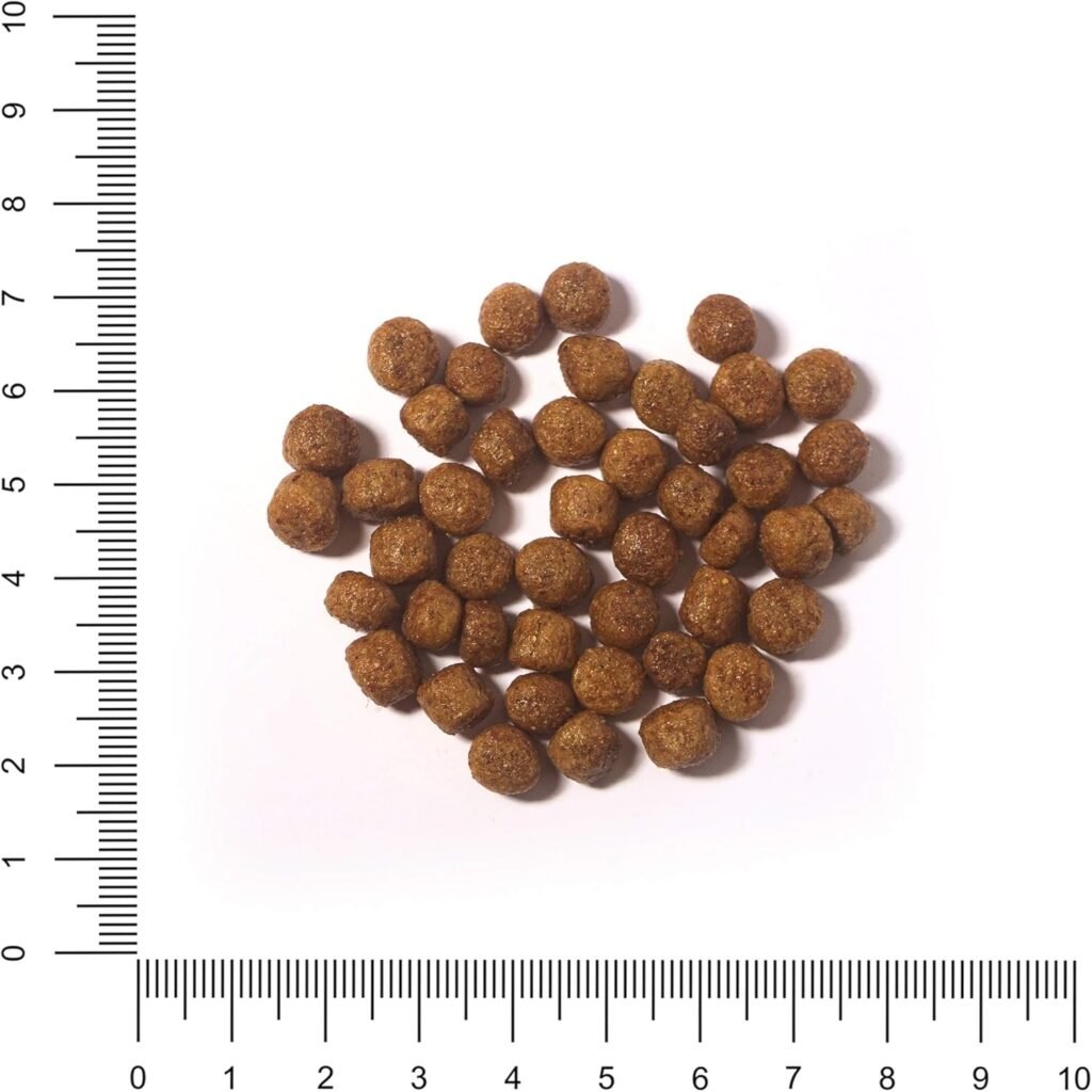 Avis croquettes Wolfood taille croquettes