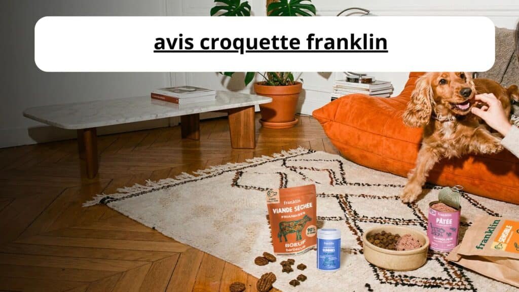 avis croquette franklin