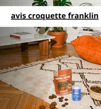avis croquette franklin