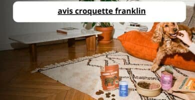 avis croquette franklin