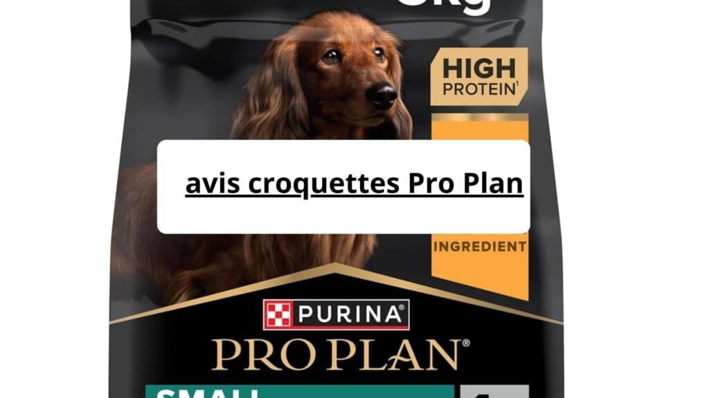 avis croquettes Pro Plan