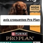 avis croquettes Pro Plan
