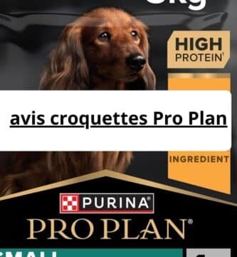 avis croquettes Pro Plan