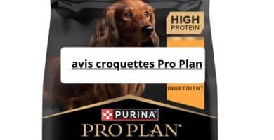 avis croquettes Pro Plan
