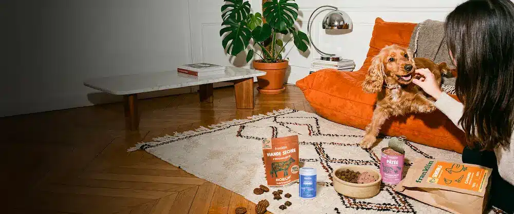 avis croquette franklin