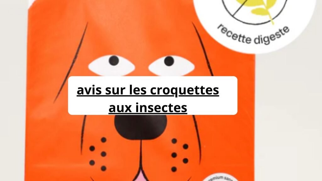 avis sur les croquettes aux insectes