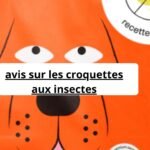 avis sur les croquettes aux insectes
