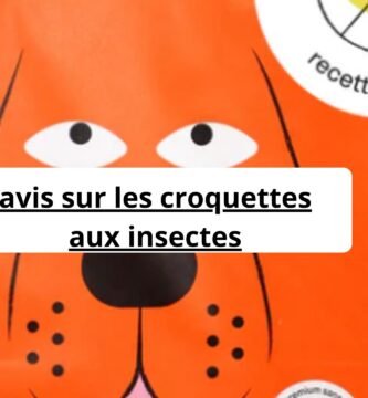 avis sur les croquettes aux insectes