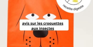 avis sur les croquettes aux insectes