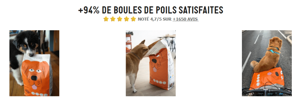 avis croquettes aux insectes tomojo et yora
