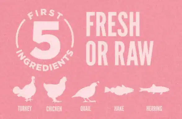 avis croquettes orijen small breed ingrédients