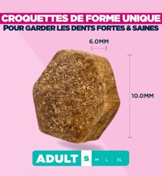 Avis croquettes Eukanuba : Le bouclier anti-tartre
