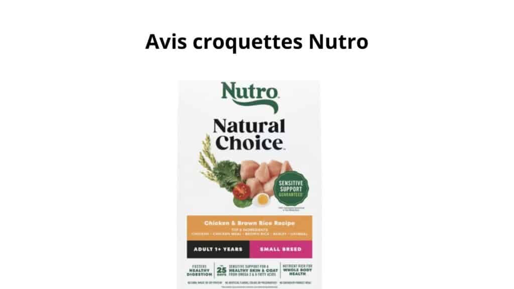 Avis croquettes Nutro