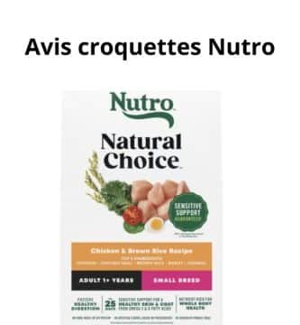 Avis croquettes Nutro