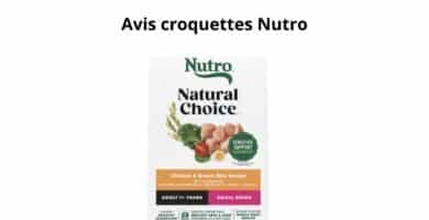Avis croquettes Nutro
