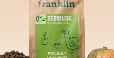 Avis Croquettes Franklin Chien Stérilisé
